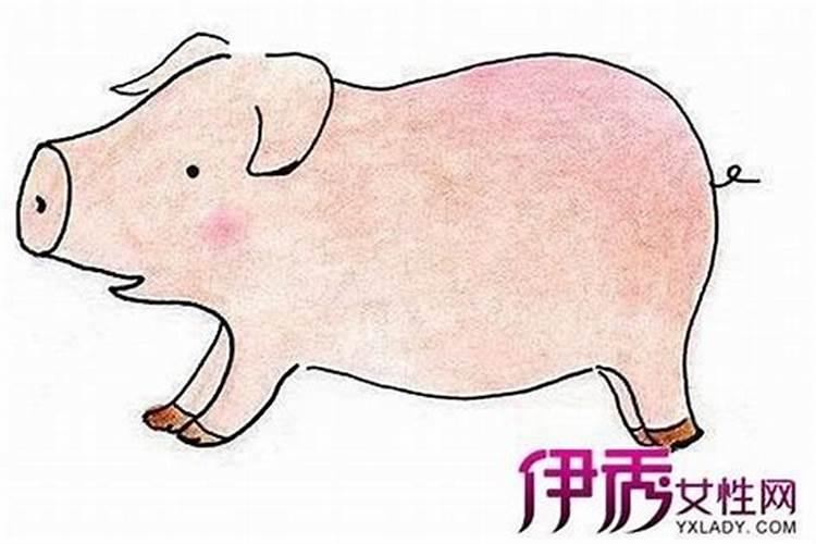 猪人腊月运势