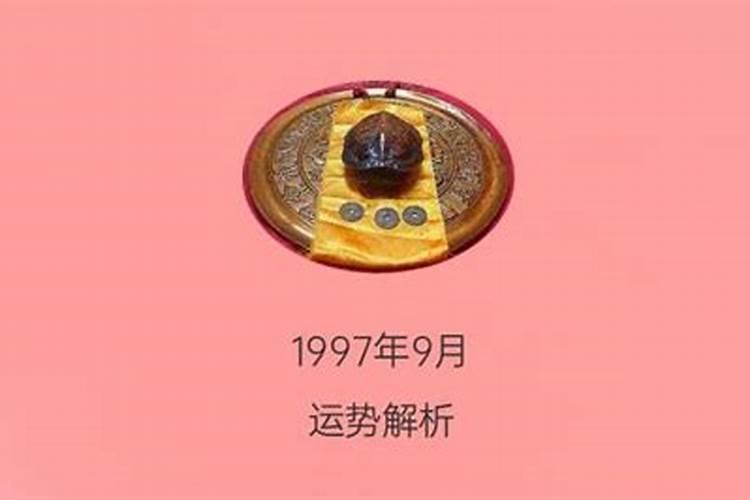 1997年命运如何