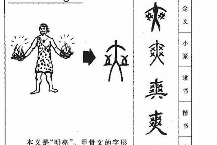 爽字在五行属于什么