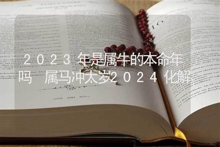 2023年是属马的本命年吗女