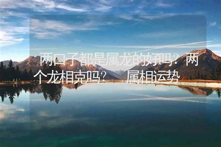 两口子都是属龙好不好