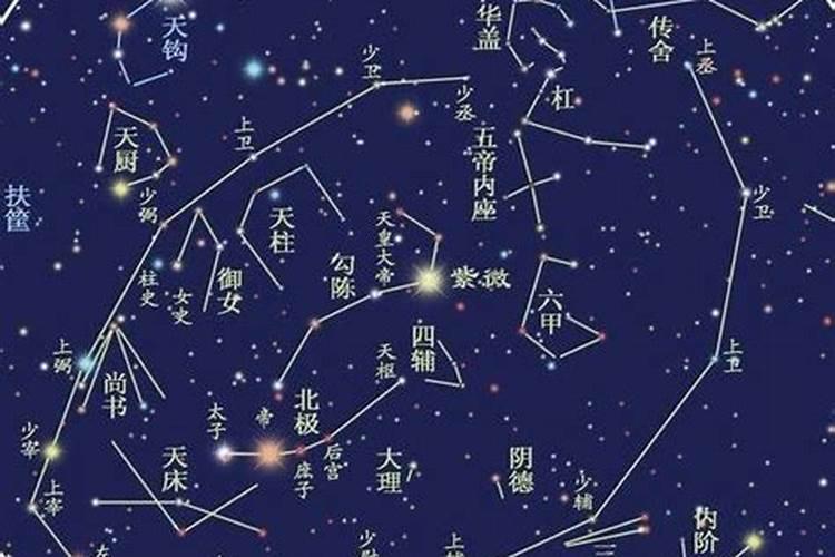 八字算命命主星是什么意思