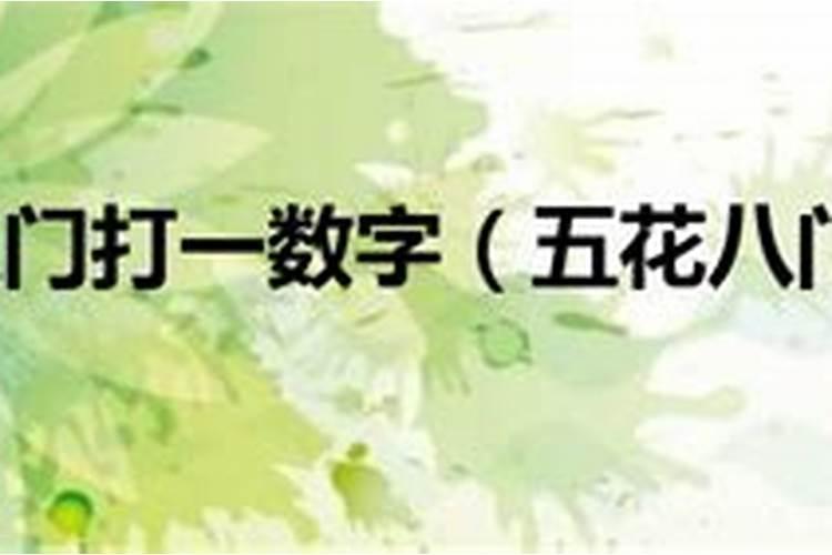 风筝代表什么生肖数字