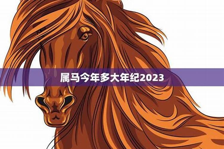 属马今年多大年龄2023