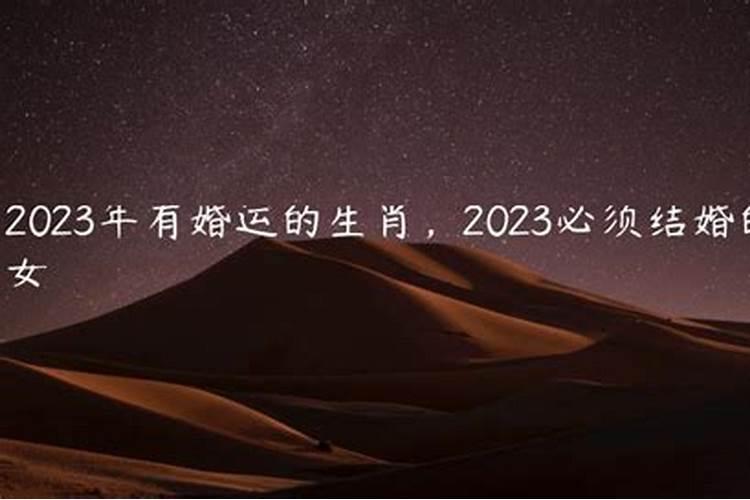 2023年有婚姻