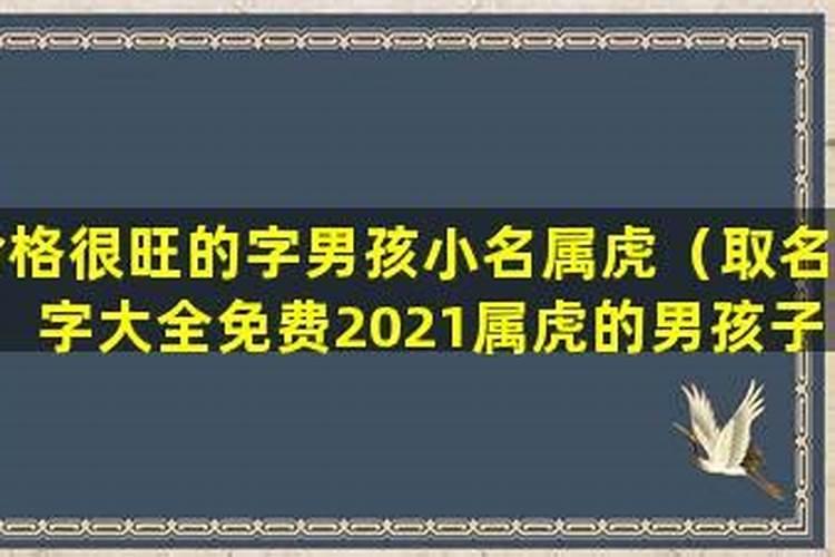 男孩的小名字大全洋气属虎