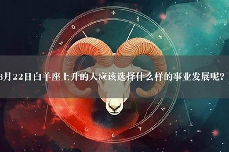 白羊座会上升什么星座