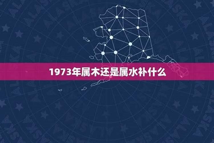 1973年什么五行属性