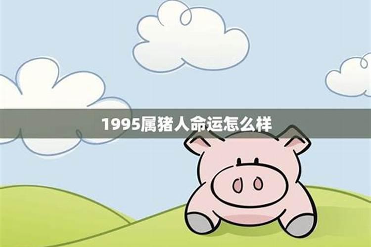 1995属猪婚姻命运如何