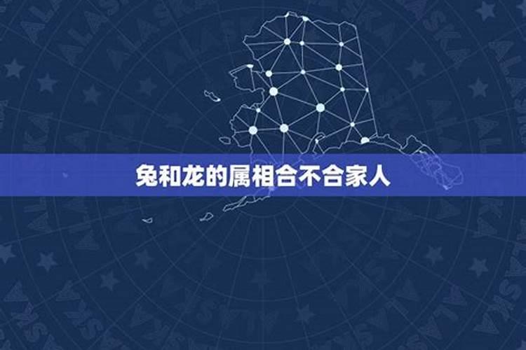 兔和龙的属相合不合