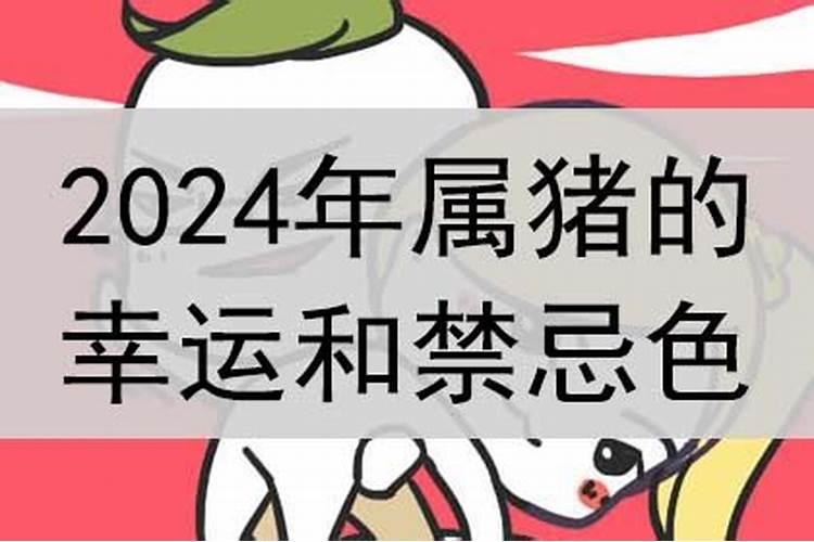 属猪什么幸运色