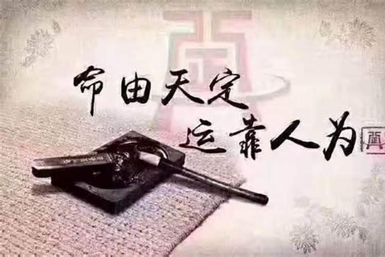 同一天生日的两个人八字合吗