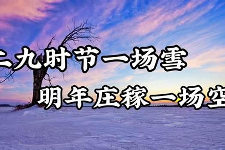 腊月十九下雪好不好