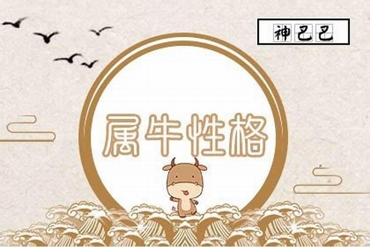 属牛男性格优点和缺点