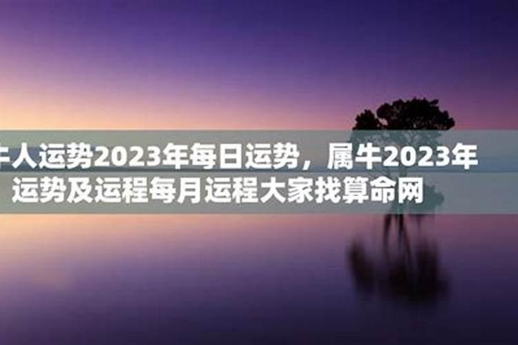 2009属牛2023年运势及运程