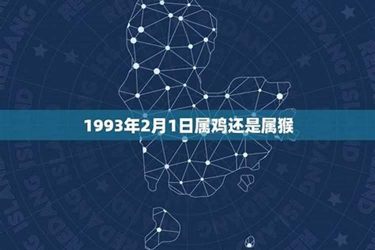 1993年2月2日属相