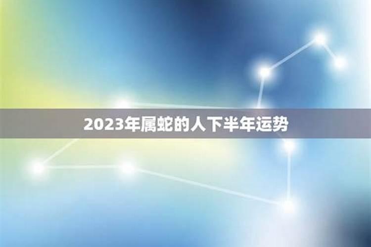 属蛇的人2023年下半年运势