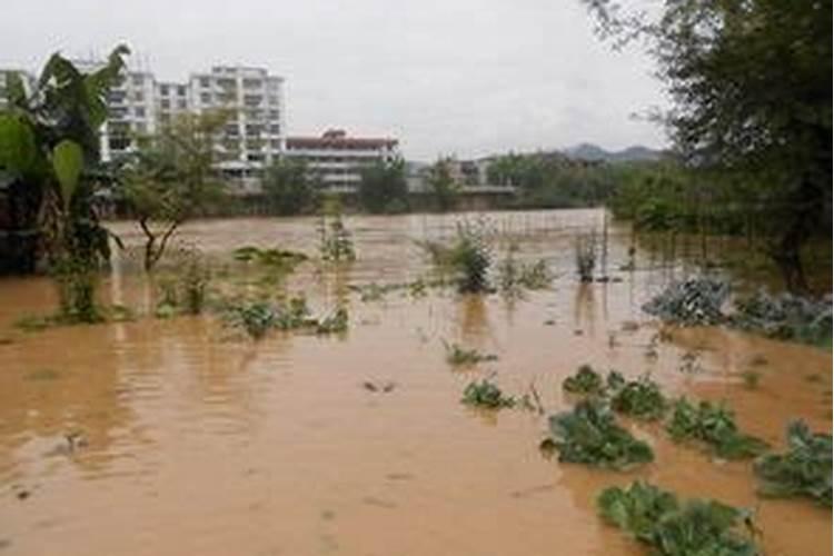 梦见大水淹路是什么意思