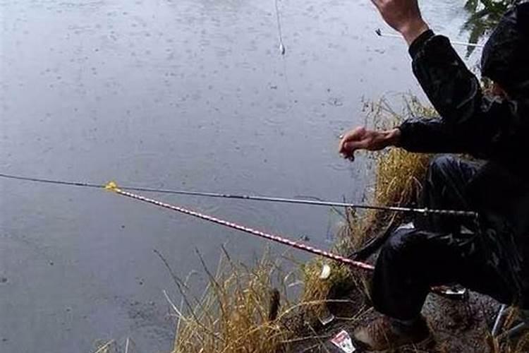 梦到下大雨钓鱼是什么预兆