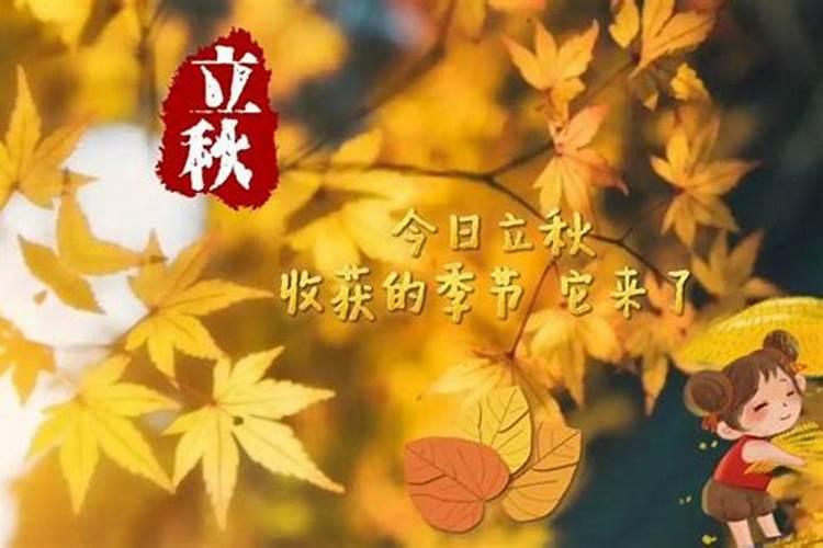 今年是哪一天立秋