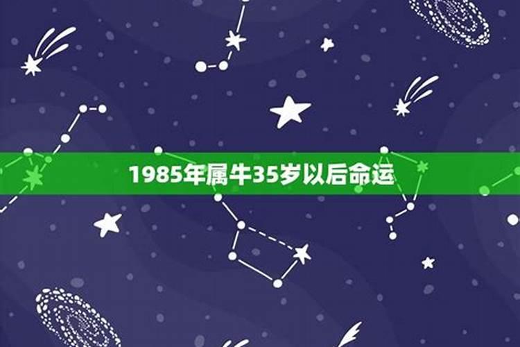 35岁有一劫属牛85今年的运程