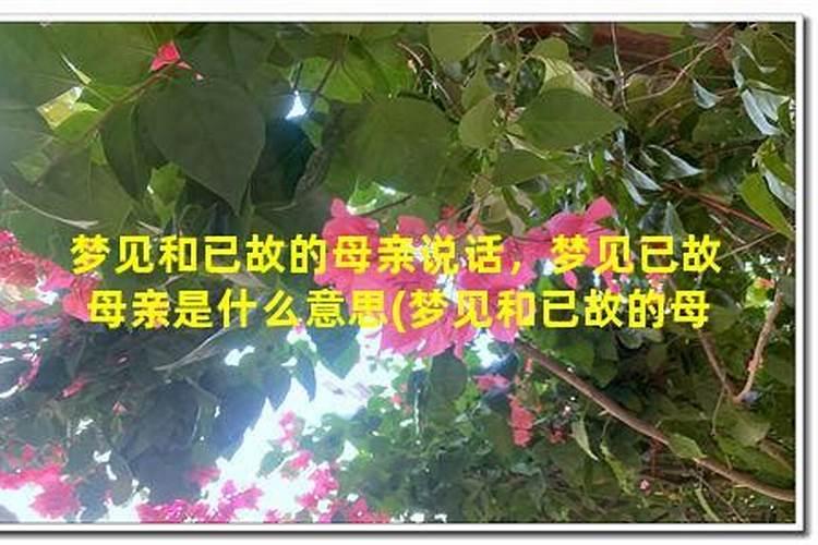 梦见了已故的母亲是什么兆头