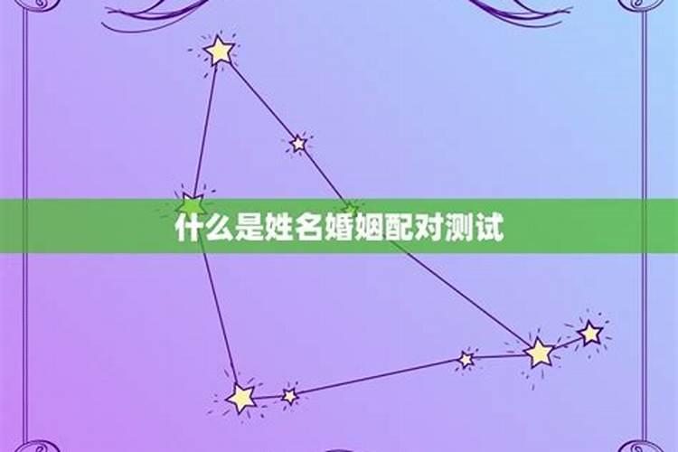 名字属相星座婚配测试器