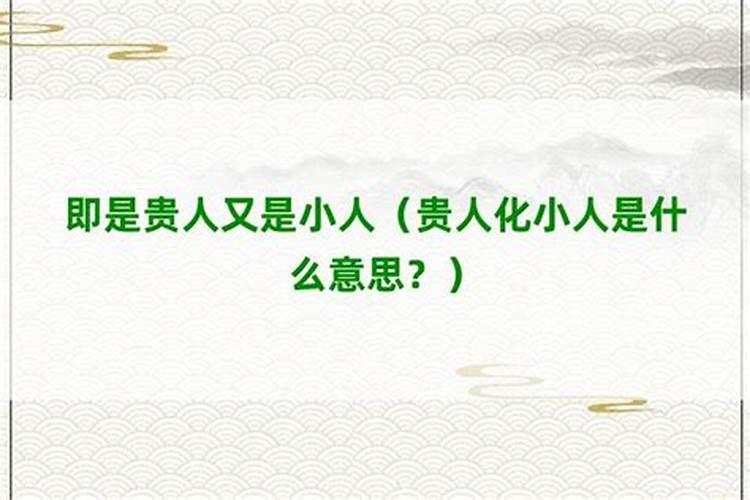 属兔之人今年运势怎么样