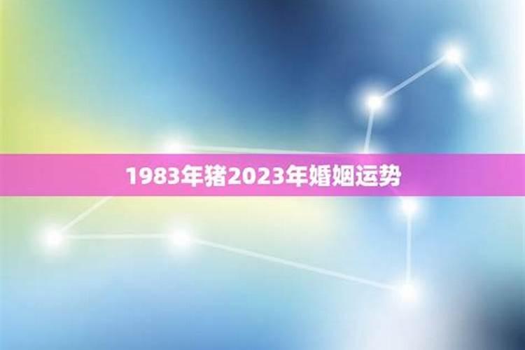 1983年生的今年的运势如何