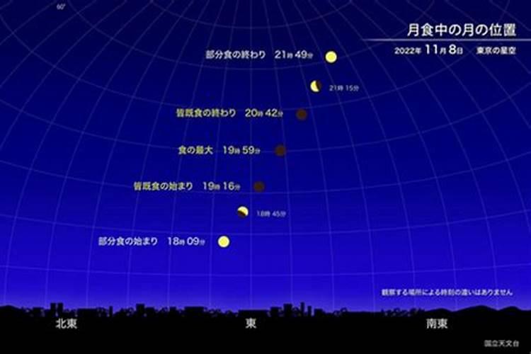 1992年11月8阳历女一生运势