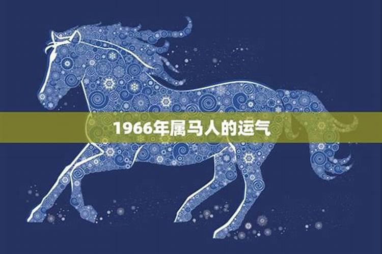 1966年属马一生运势运程