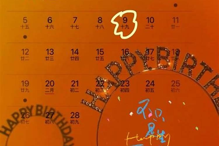 生日是2月9日是什么星座