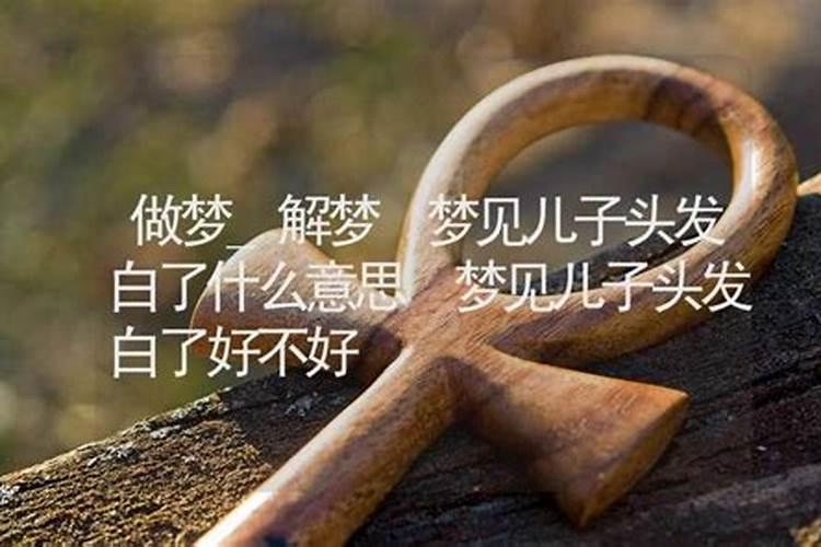 梦见儿子考上老师了