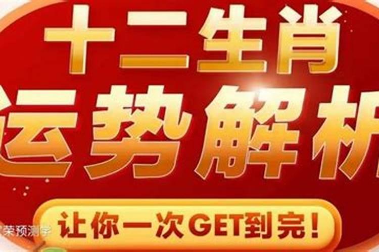 2023年10月17日12生肖运势