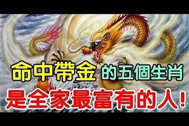 什么属相命里带金