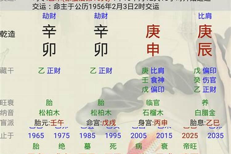 八字排盘四废什么意思