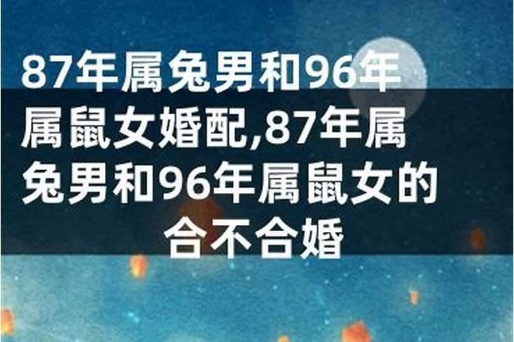 87兔和84鼠合婚吗