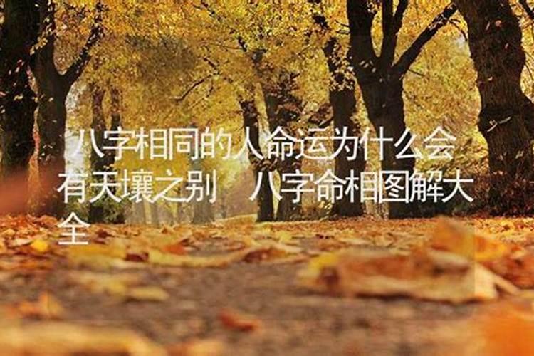 八字相同的人命运会相同吗