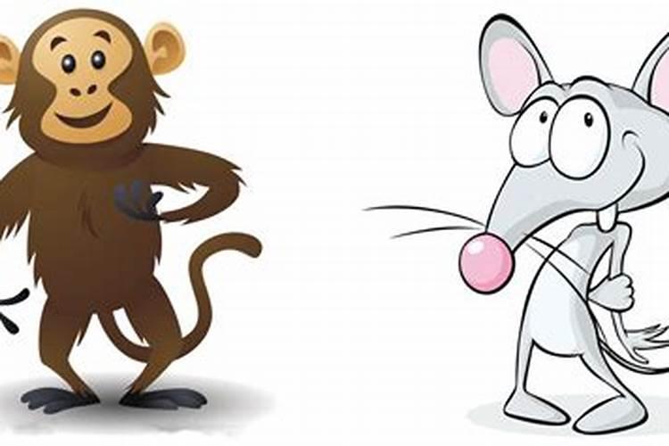 猴和鼠三合婚姻什么意思