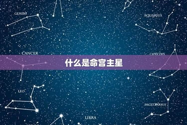 命宫主星看一生运势