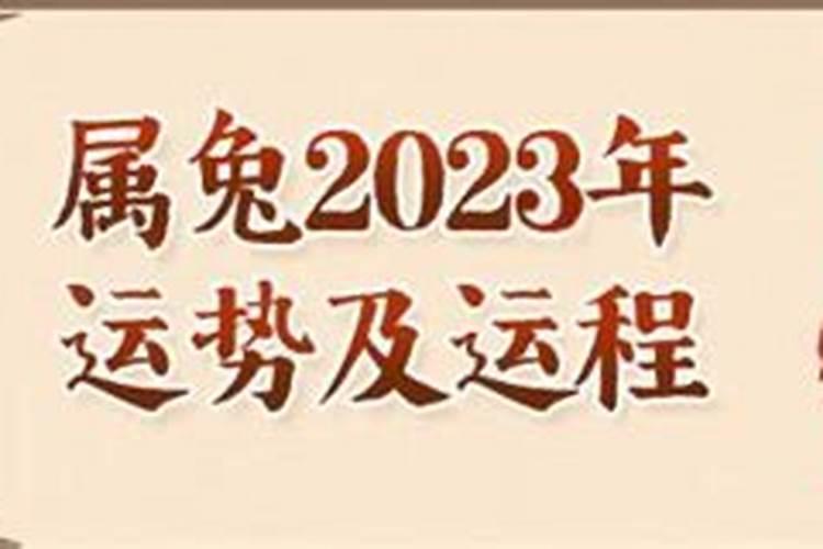 属兔人2022年运势详解