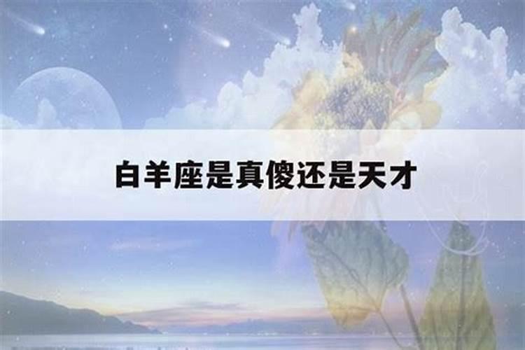 白羊座是真傻还是装傻