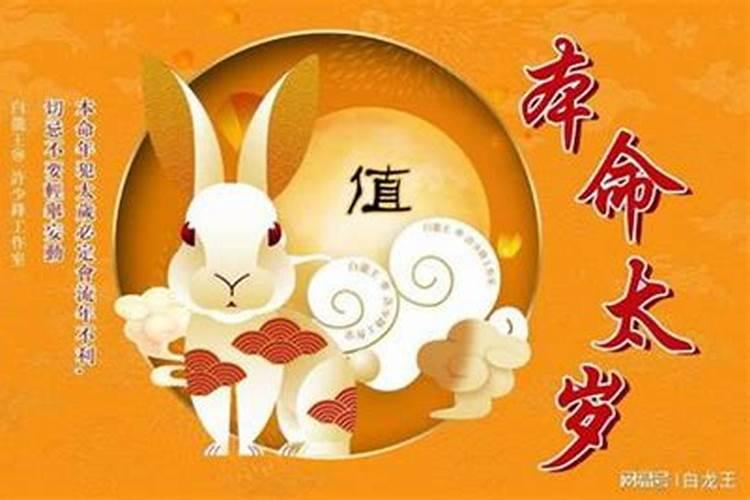 生肖兔今年适合创业吗