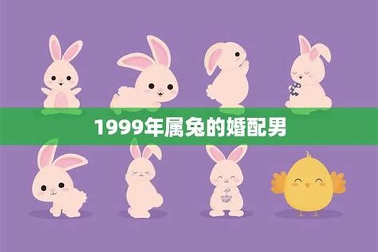 1999年属兔男生的性格