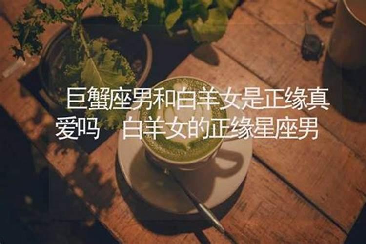 白羊女多情吗