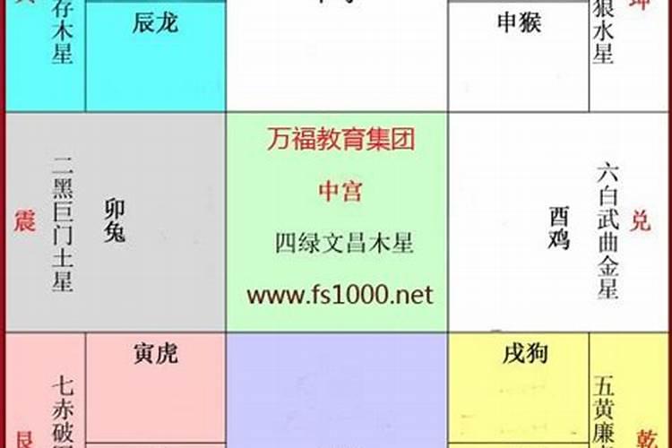 属相的2021年的财位