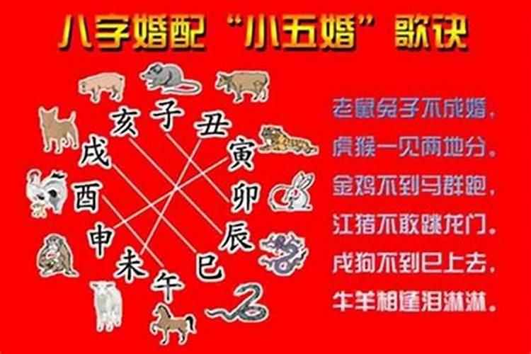 属虎宝宝跟什么属相父母最好