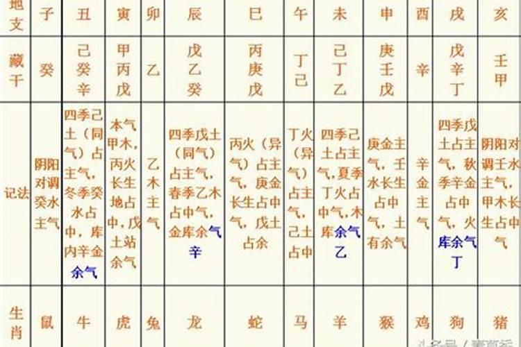 八字中申辰拱合什么意思