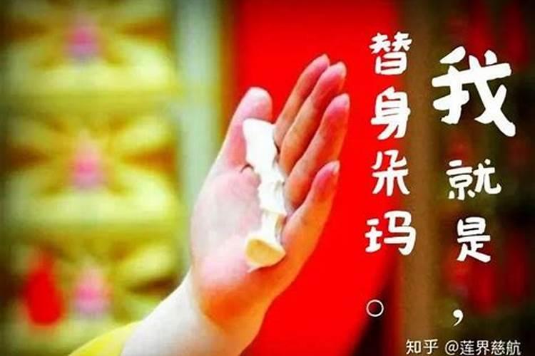 四十而立打一生肖是什么生肖