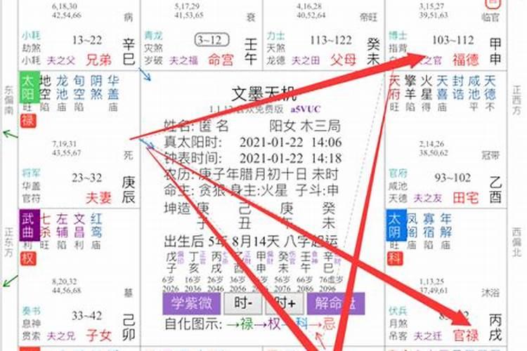 女属马人2023年运势